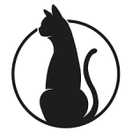 Black Cat Studio